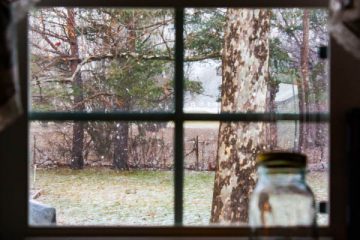 Nature - First Snowfall